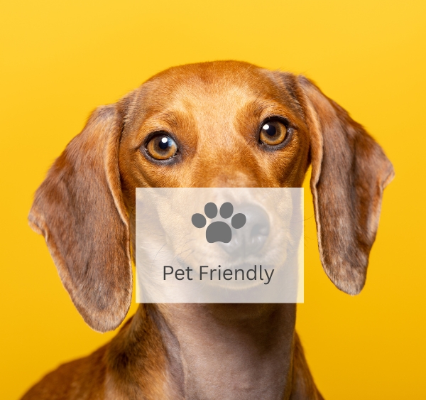 Pet Friendly